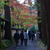 佛通寺の紅葉