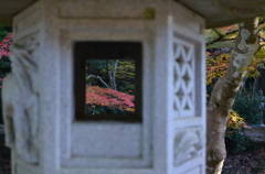佛通寺の紅葉