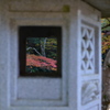 佛通寺の紅葉