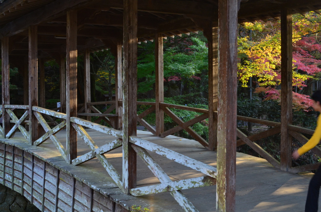 佛通寺の紅葉