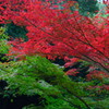 佛通寺の紅葉