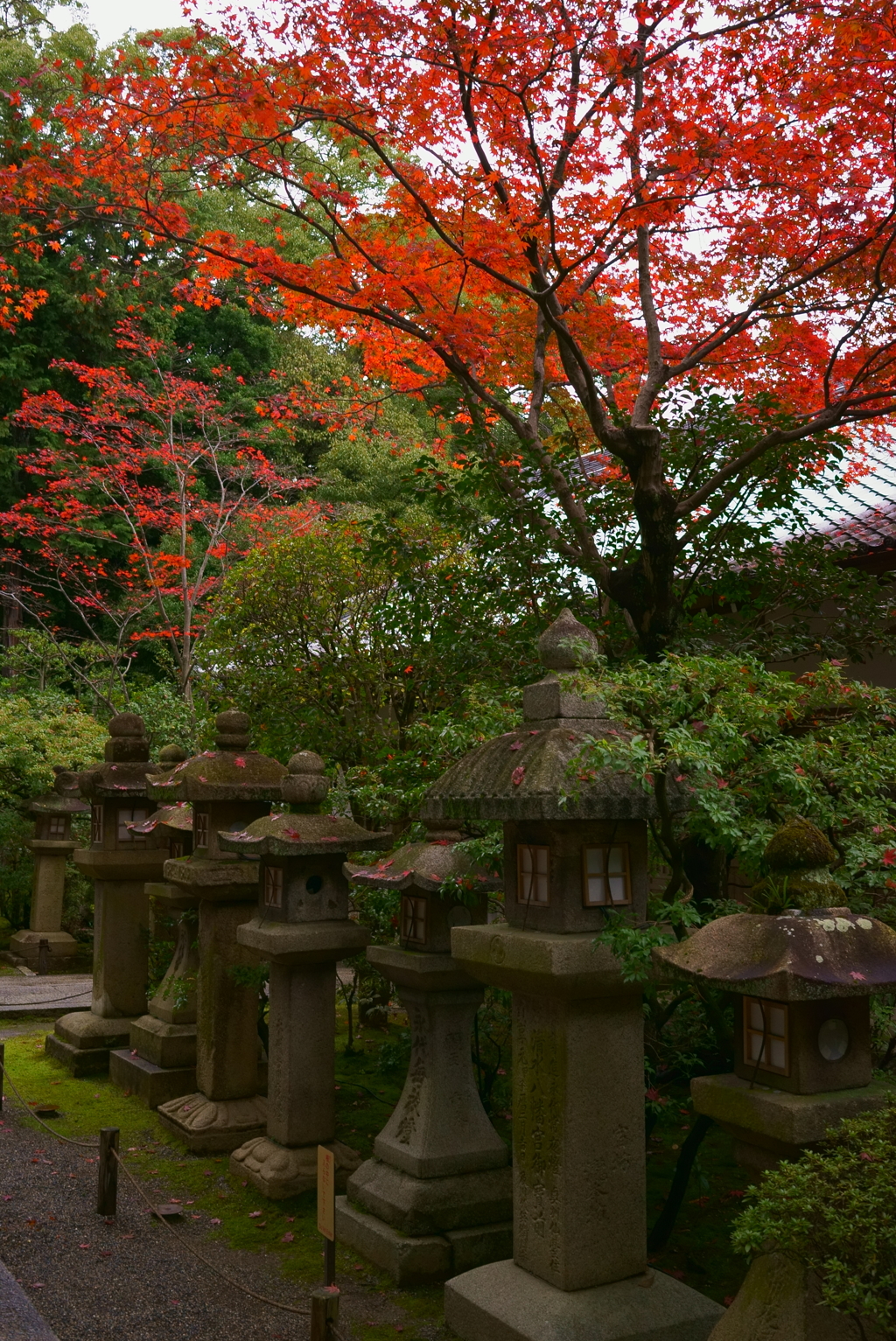 秋の終わりに、、、