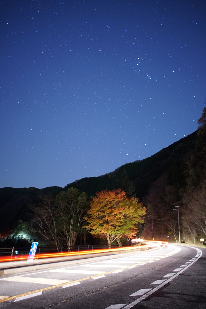 Sirius, Procyon and Betelgeuse