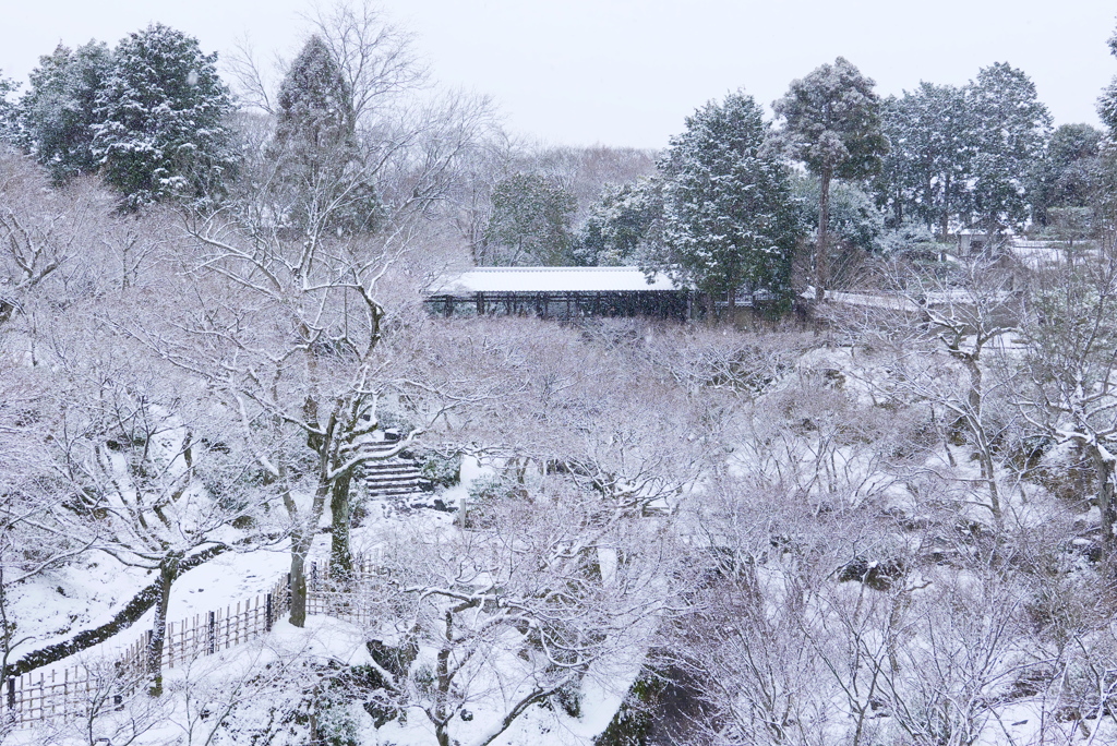 通天橋から望む雪景色