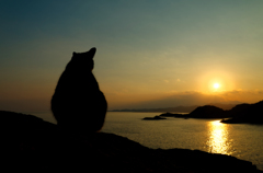 in the twilight