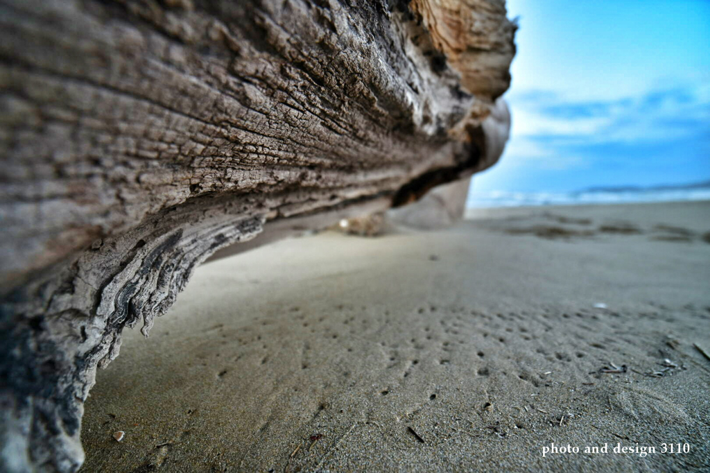 wood rock