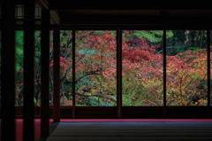 京都紅葉