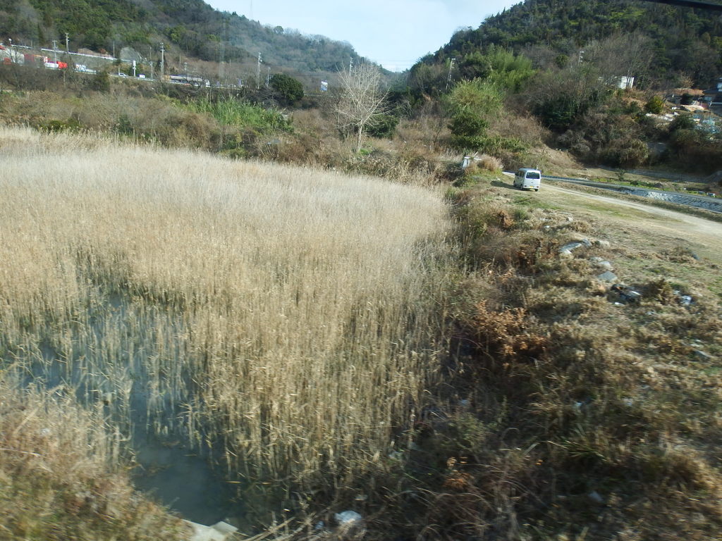 DSCF0338
