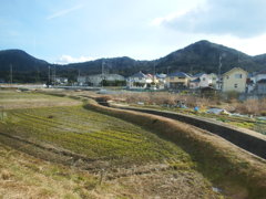 DSCF0350