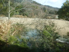DSCF0334