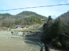 DSCF0359