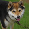 にっこり笑って