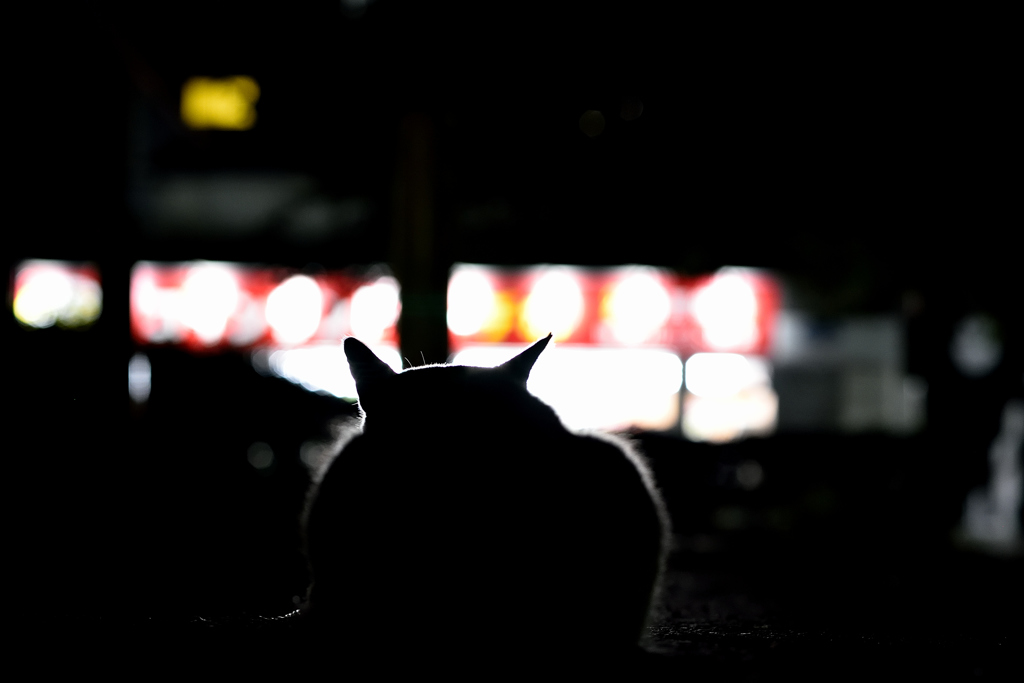 シルエット猫
