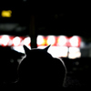 シルエット猫