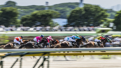 東京競馬場にて