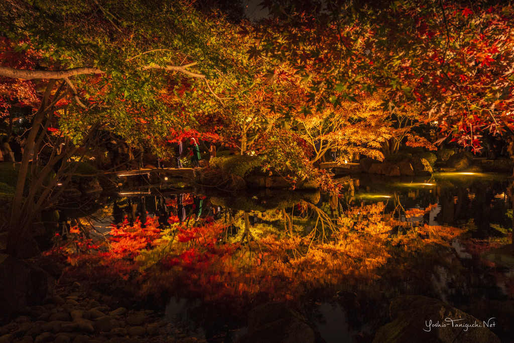 荻窪大田黒公園その2