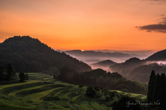 朝焼けと大山千枚田