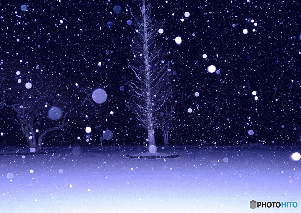 雪やこんこ3