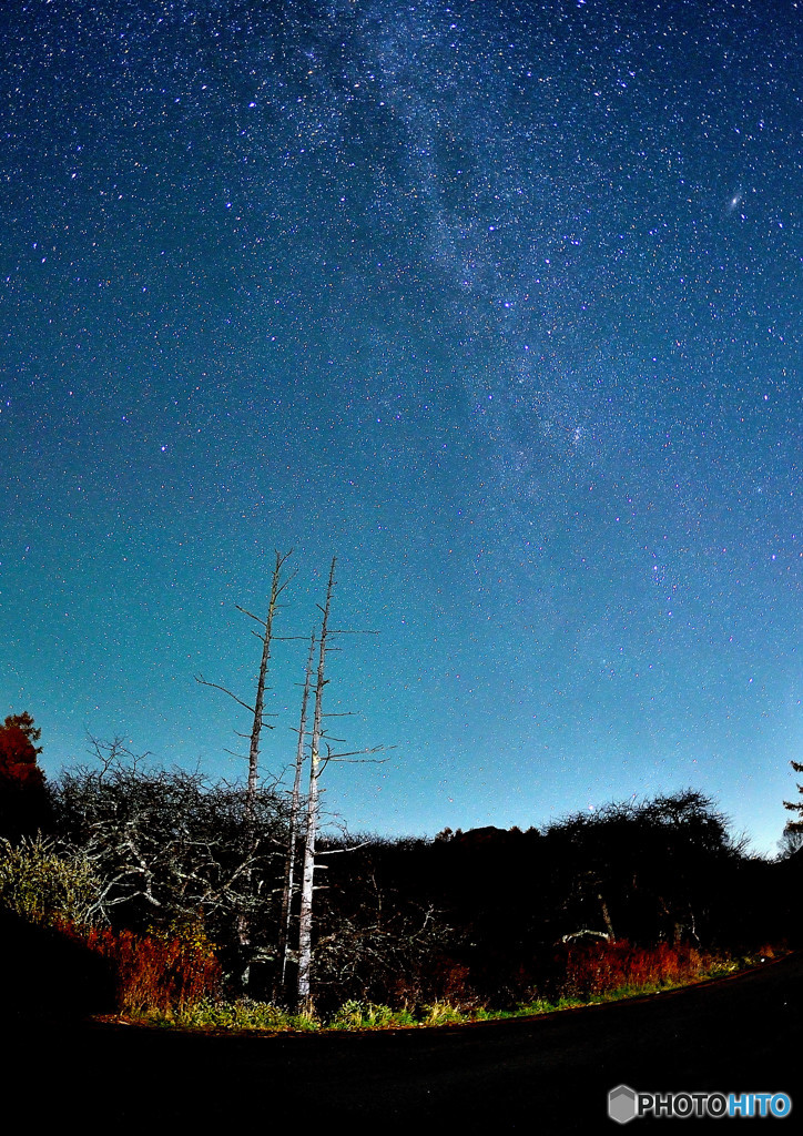 星空見学