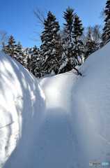 雪の回廊1