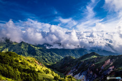 夏の山