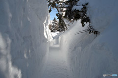 雪の回廊2