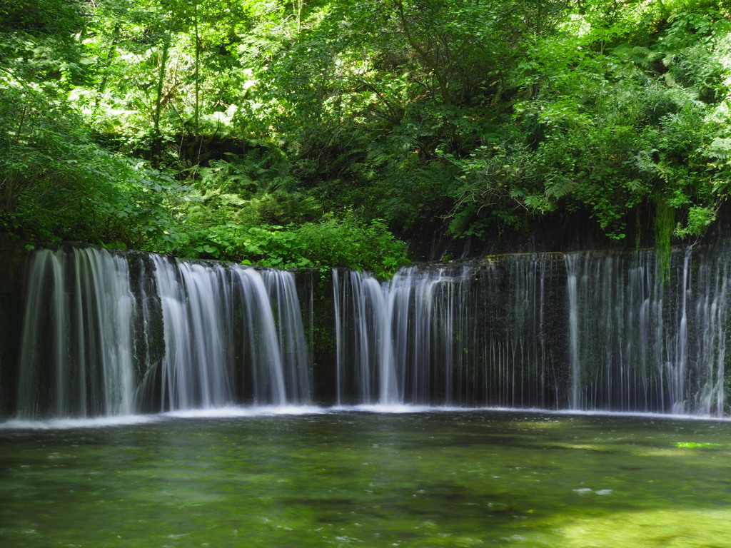 白糸の滝