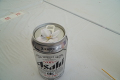 THE 奇跡
