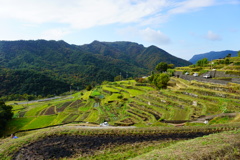 中山千枚田