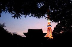 増上寺と東京タワー