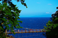 夏色の吊り橋