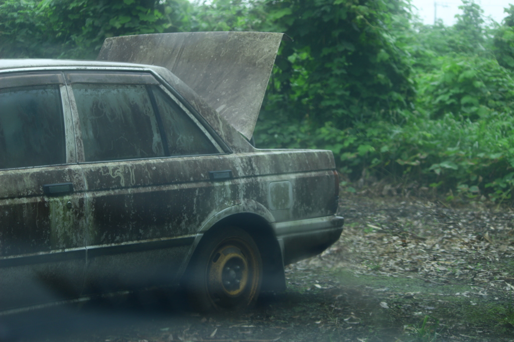 rain