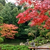 知恩院 友禅苑
