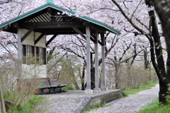 道の駅 北上川堤防