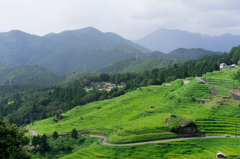 丸山千枚田