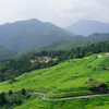 丸山千枚田