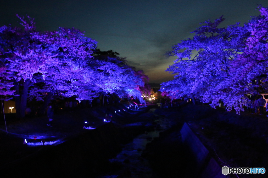 観音寺川ライトアップ（青）