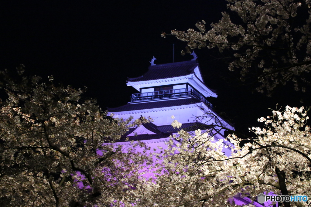 会津鶴ヶ城と桜