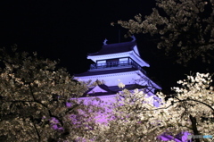 会津鶴ヶ城と桜