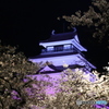 会津鶴ヶ城と桜
