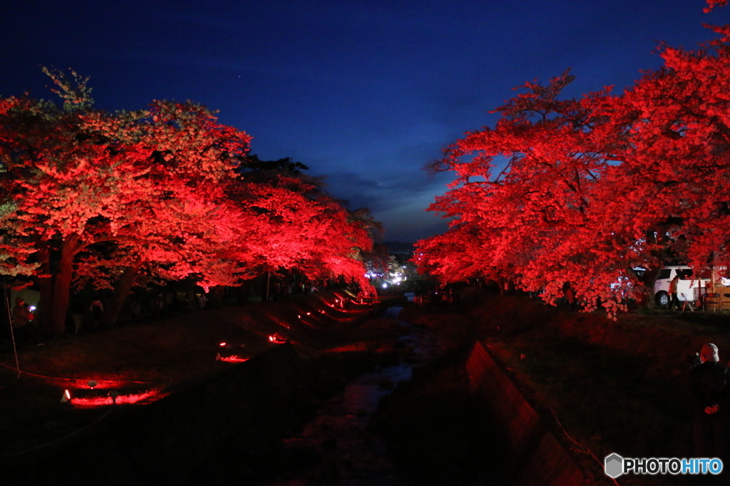 観音寺川ライトアップ（赤）