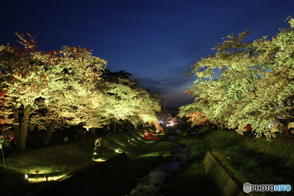 観音寺川ライトアップ（黄）