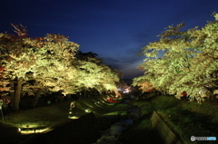 観音寺川ライトアップ（黄）