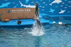 仙台うみの杜水族館