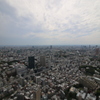 東京タワーからの景色