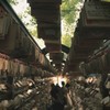 絵馬の道①