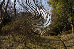 DSC01885風景・渦巻き