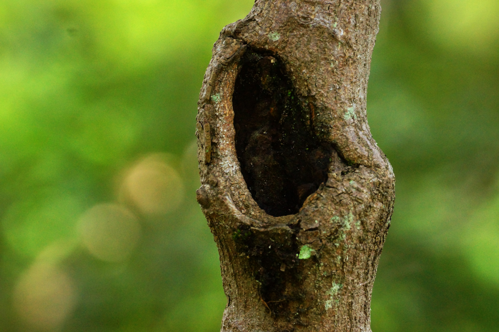 DSC06002 - コピー