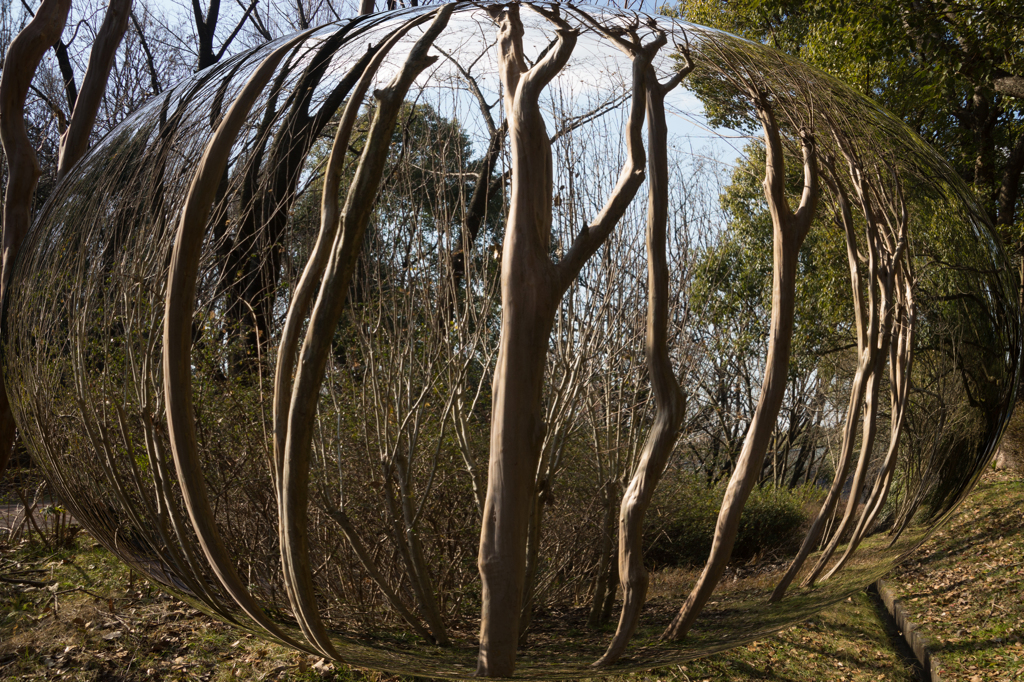 DSC01885風景・球面