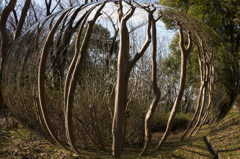 DSC01885風景・球面